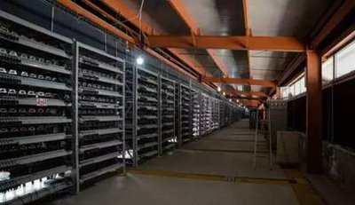 A view of a well-structured mining farm used for diverse cryptocurrency mining